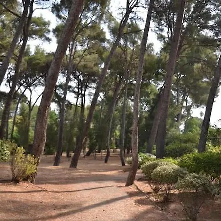 아파트 A Deux Pas Des Plages 생시르쉬르메르